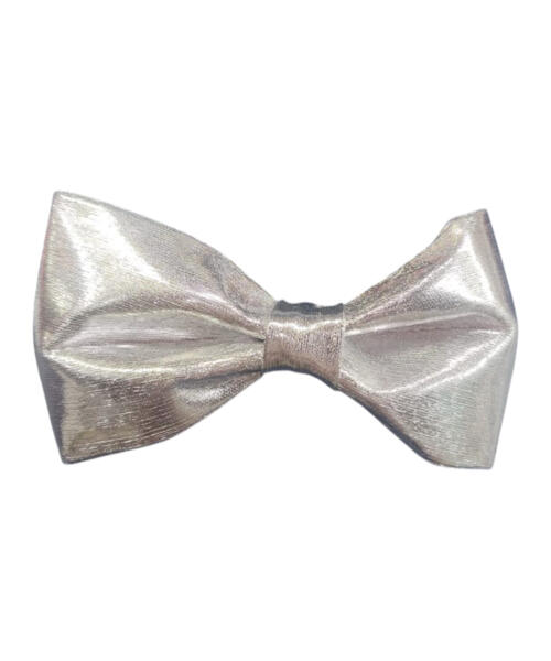 Silver Bow